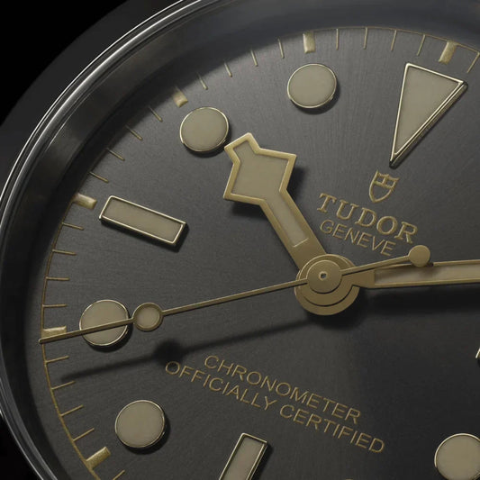 Tudor® Black Bay 39