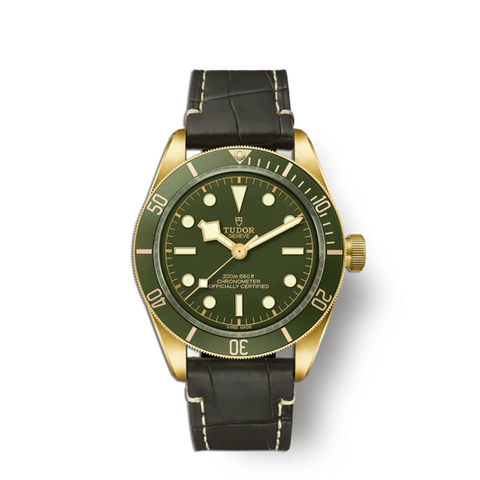 Tudor®  Black Bay 58 18K