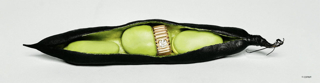 Copin Ring in einer Schote